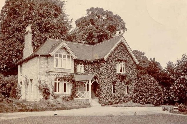 Loves Hill Court is a collection of eleven bespoke homes in a development designed by O2i Design Ltd, an architectural practice based at the heart of Somerset