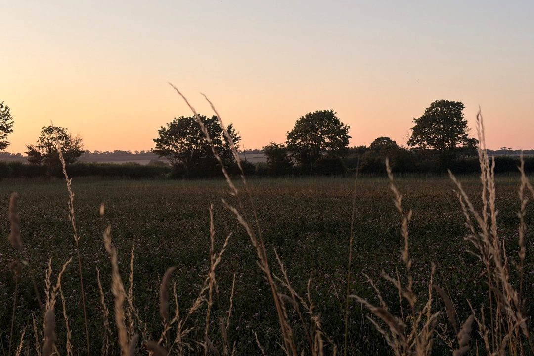 Field on the edge of a Somerset village that could be considered through Somerset Council's Call for Sites.